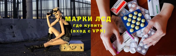 стафф Медвежьегорск