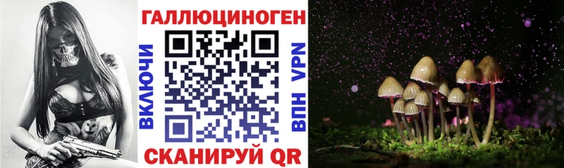Псилоцибиновые грибы мицелий  Дятьково 