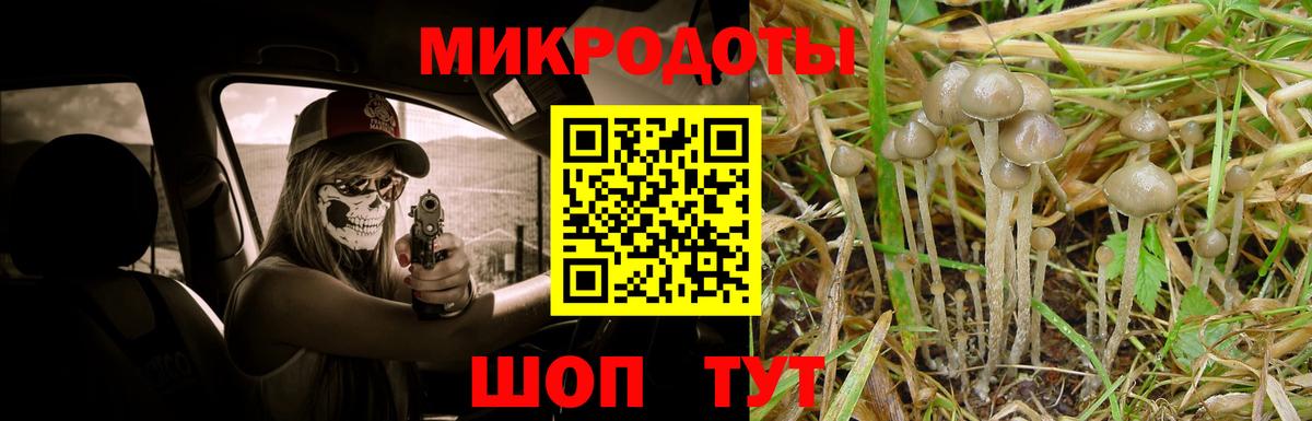 Галлюциногенные грибы ЛСД Дятьково